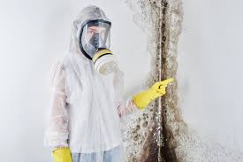 Asbestos and Lead Testing During Mold Inspection in Piermont, NY